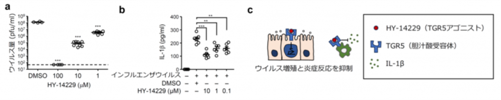 High body temperature increases gut microbiota-dependent host resistance to  influenza A virus and SARS-CoV-2 infection